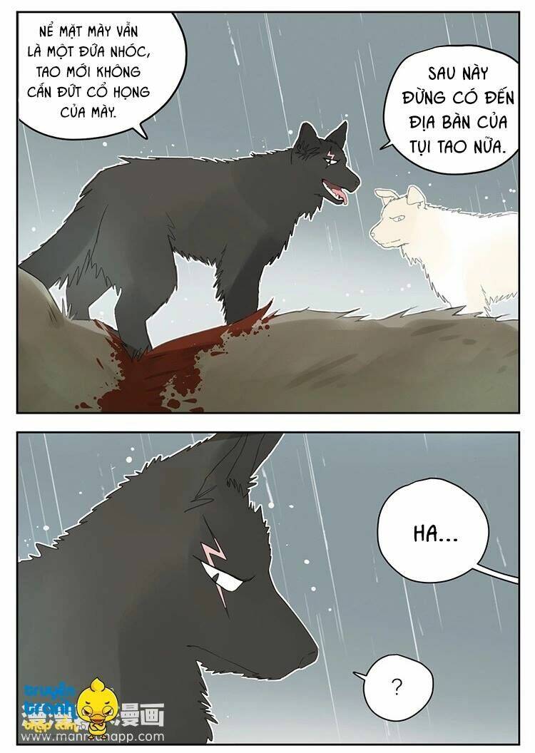 Cứu Mạng! Loài Mèo Thống Trị Thế Giới Rồi!: Chapter 25