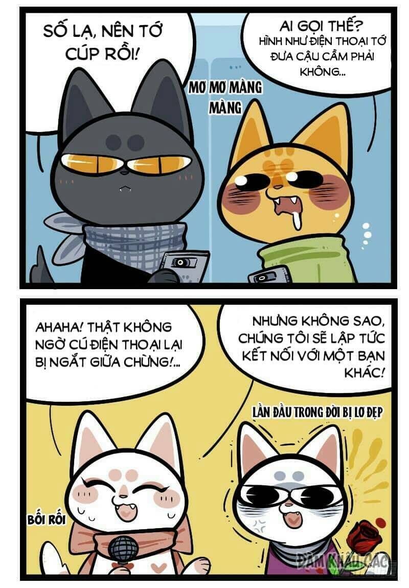 Đời Không Như Mình Tưởng: Chapter 44