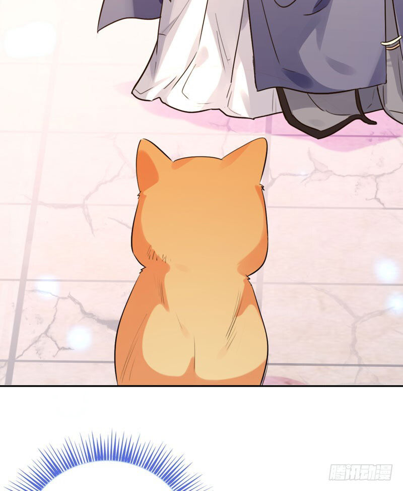 Lụ Đạn, Hôm Nay Lại Cũng Không Thể Biến Thành Người Được: Chapter 2