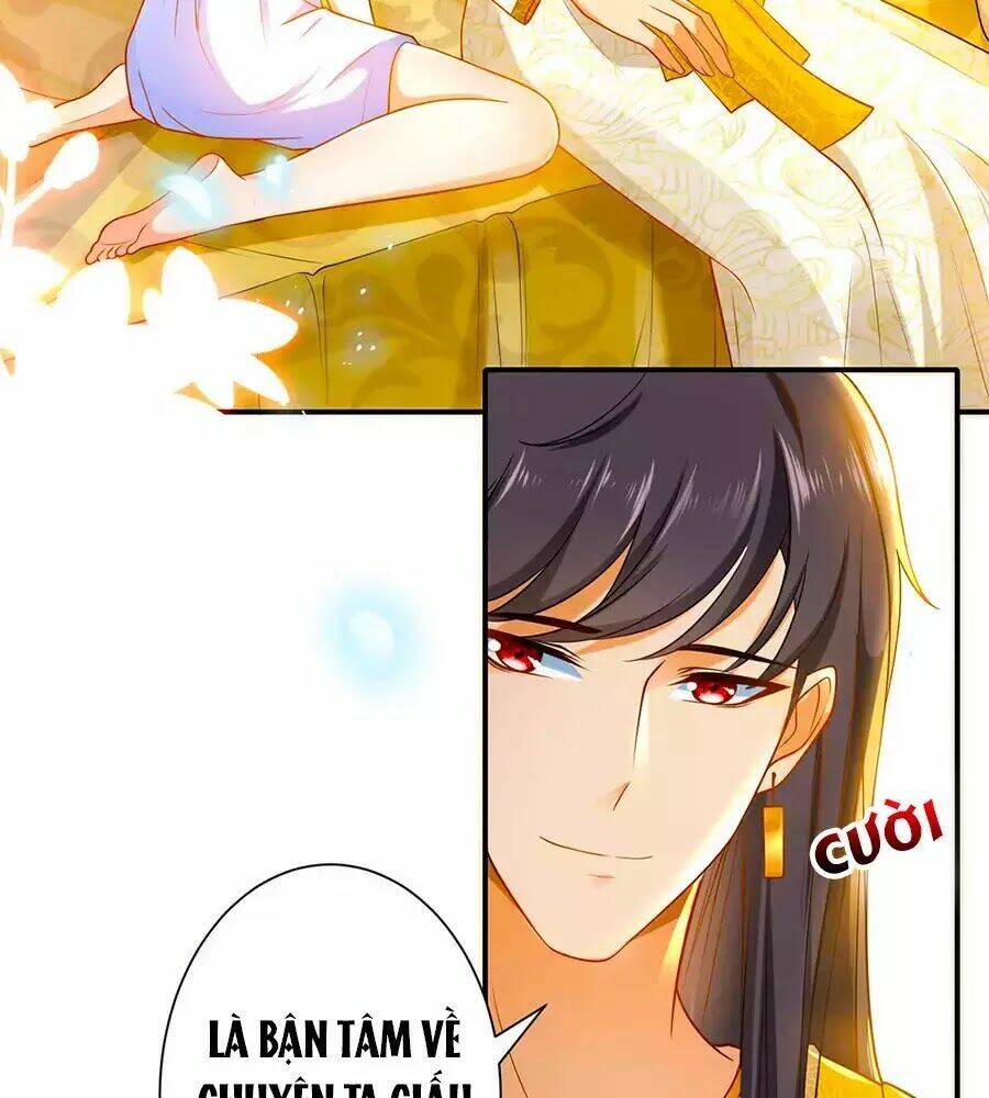 Sủng Hậu Của Vương: Chapter 8