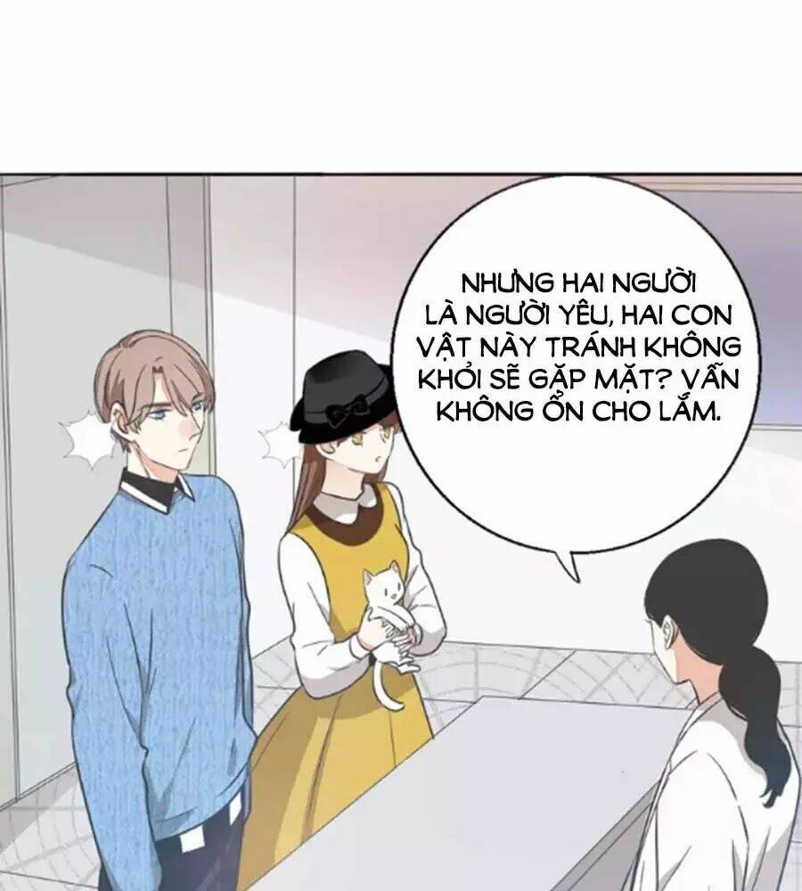 Mùi Hương Lãng Mạn: Chapter 38