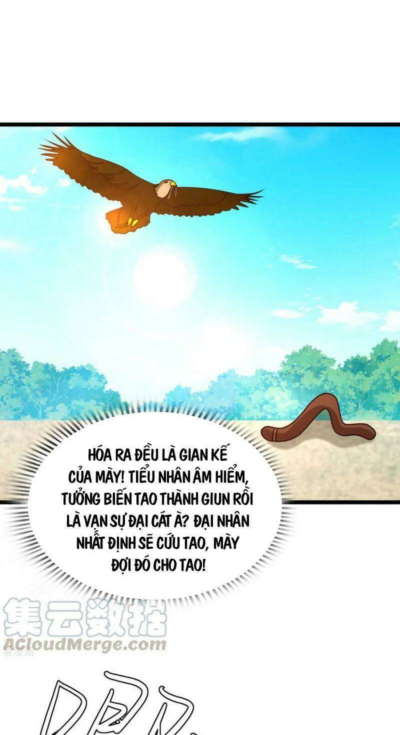 Tối Cường Vận Đào Hoa: Chapter 211