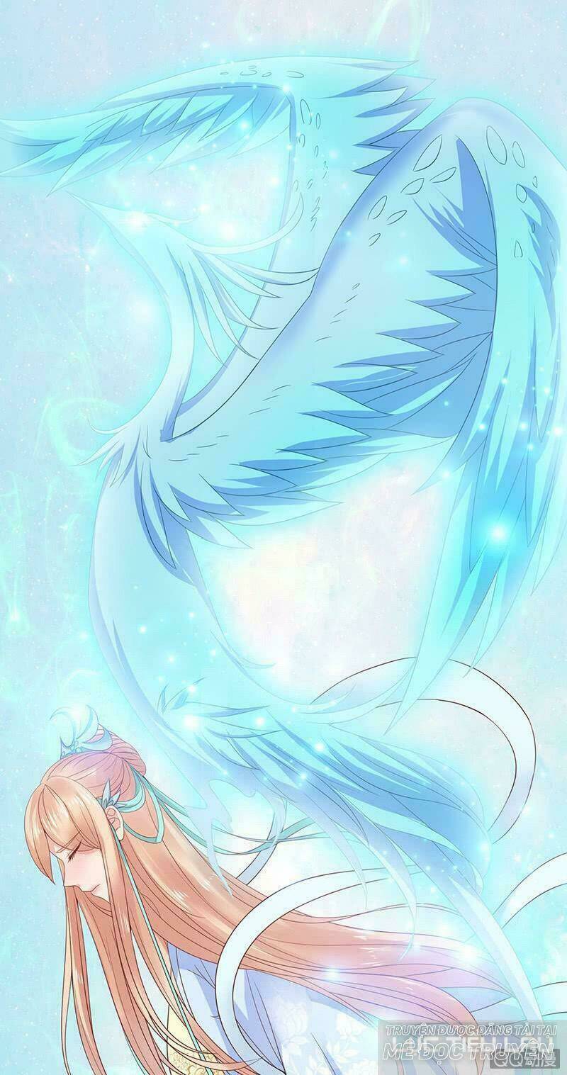 Băng Sơn Học Trưởng Không Được Chọc: Chapter 11