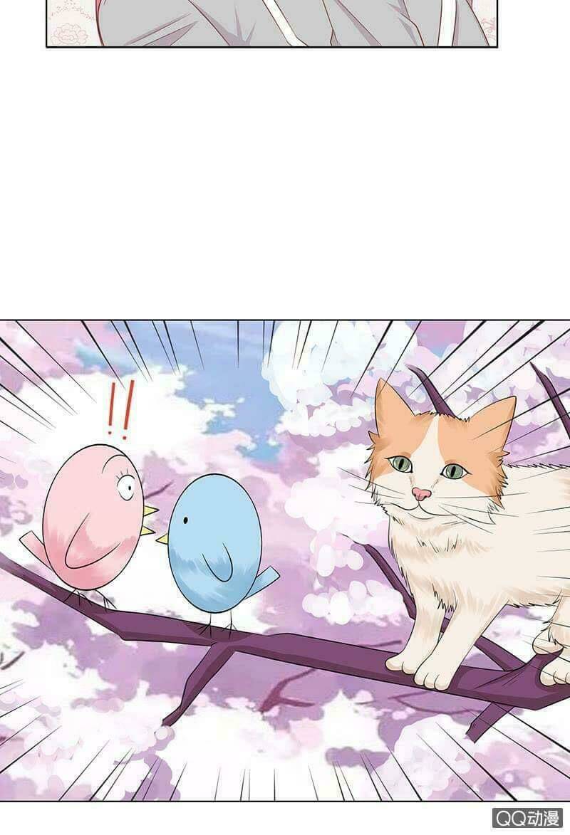 Băng Sơn Học Trưởng Không Được Chọc: Chapter 53.1