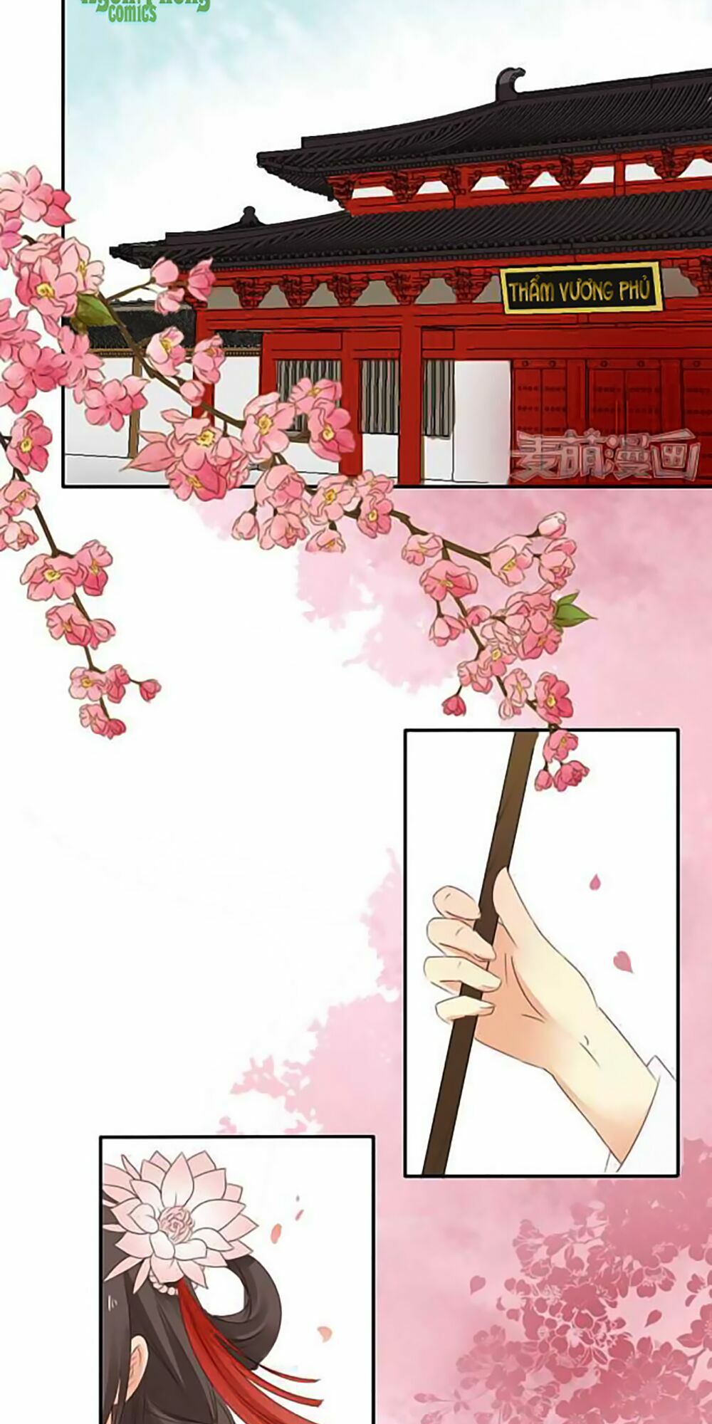Quy Tự Dao: Chapter 3