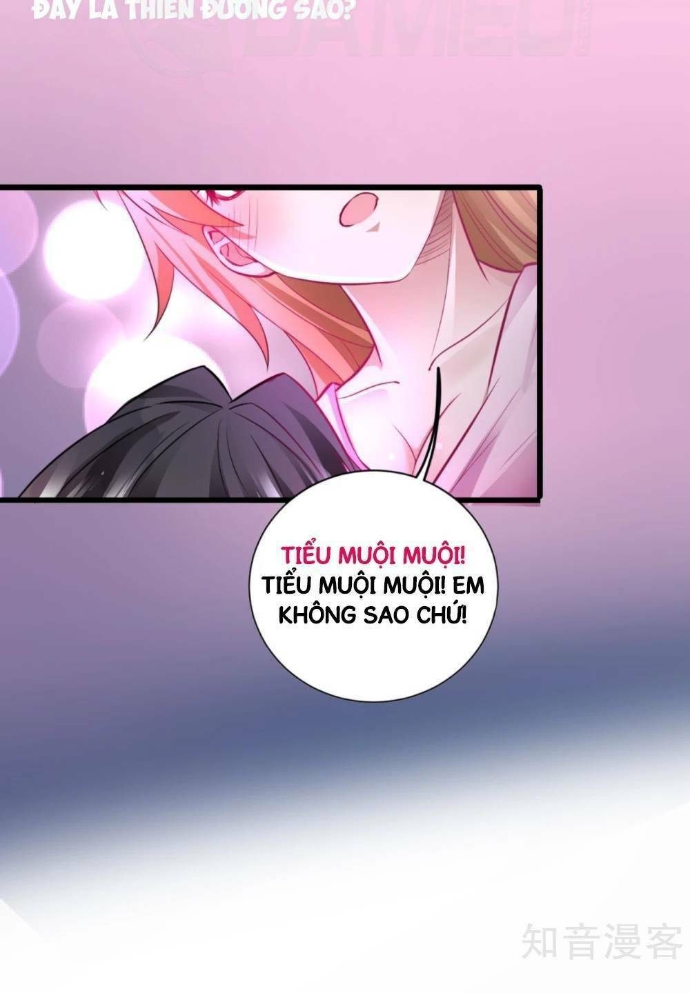Tối Cường Đại Biểu Hoàng Kim Thận: Chapter 0