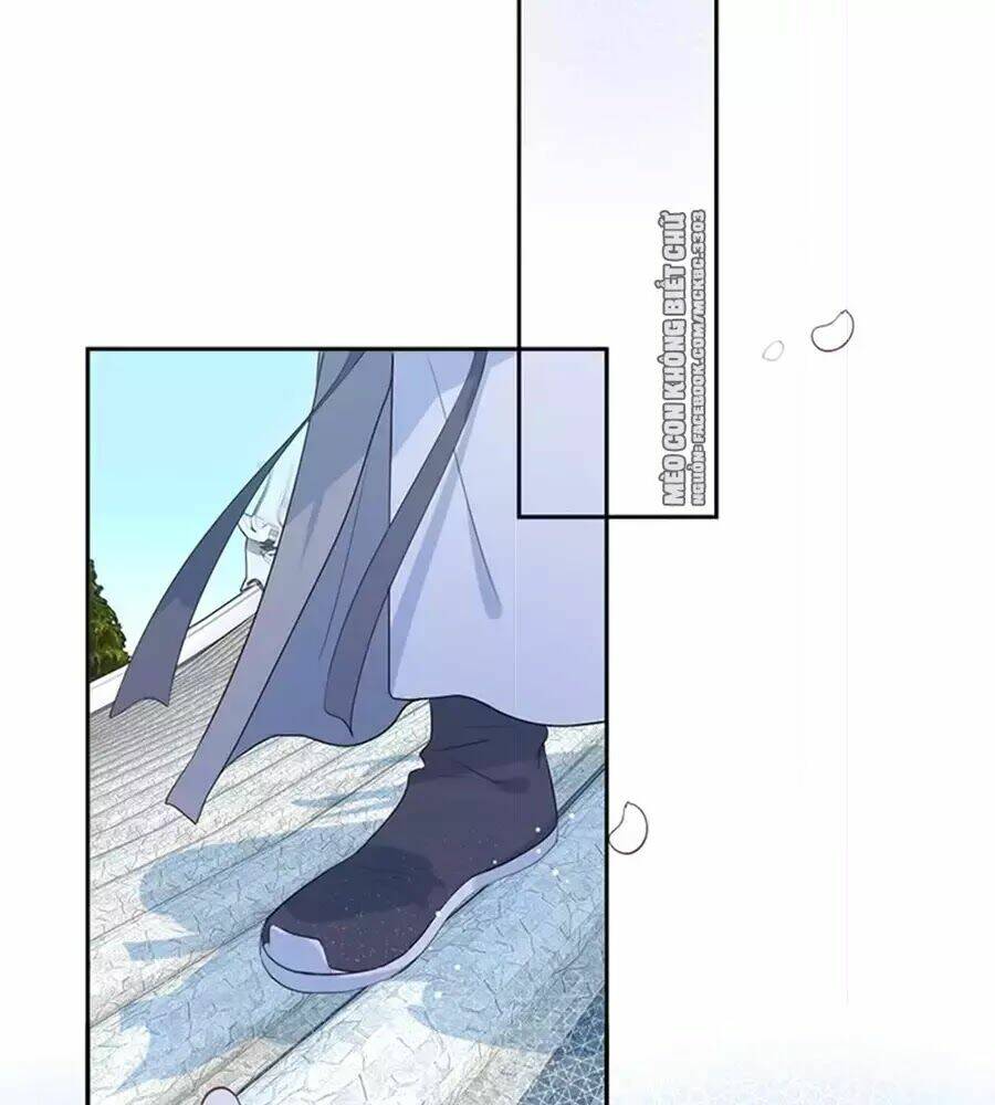 Kính Hoa Thương: Chapter 24