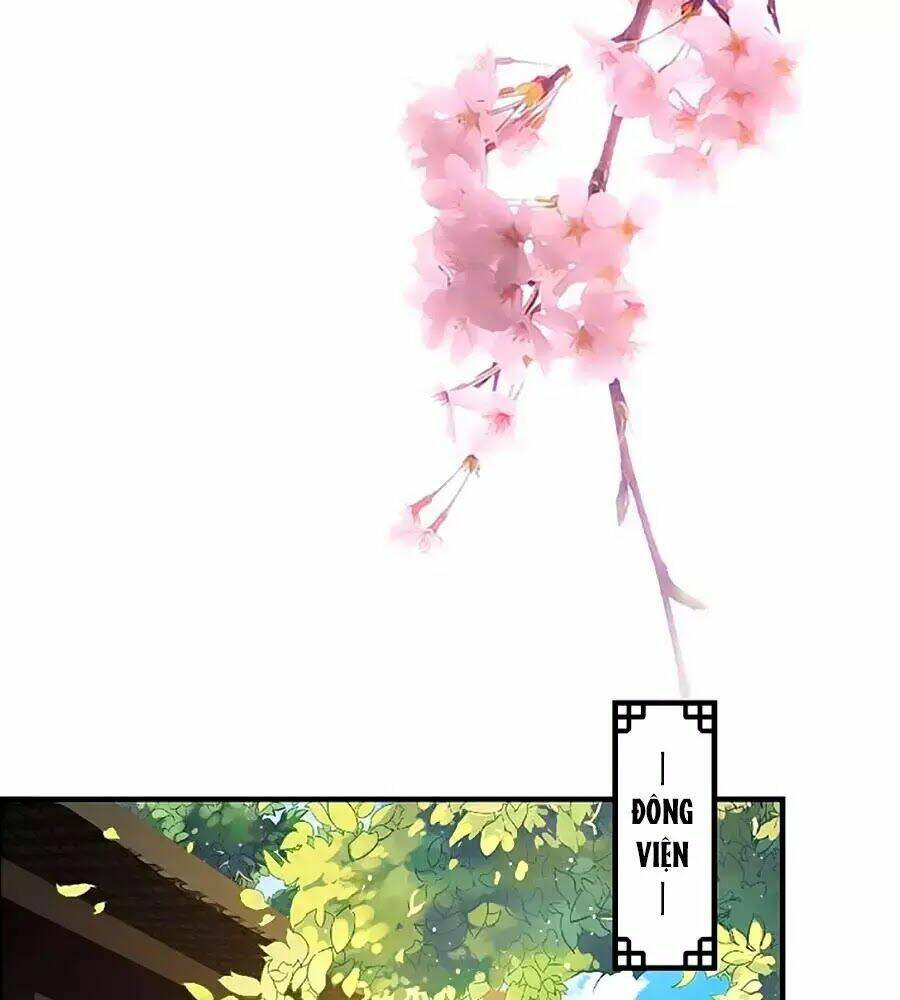 Thịnh Thế Lê Hoa Điện: Chapter 67