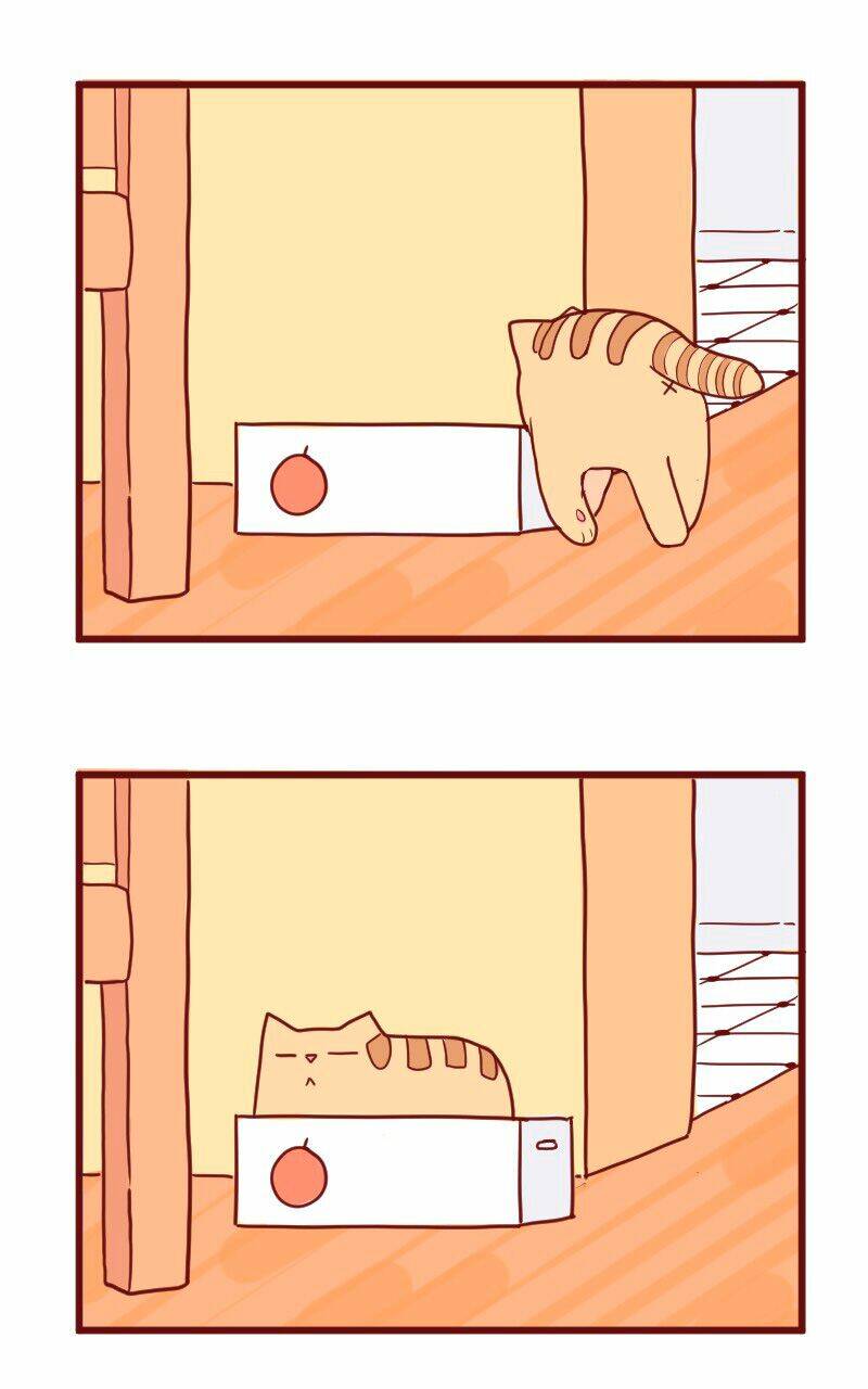 Saphie: Chú mèo một mắt: Chapter 10