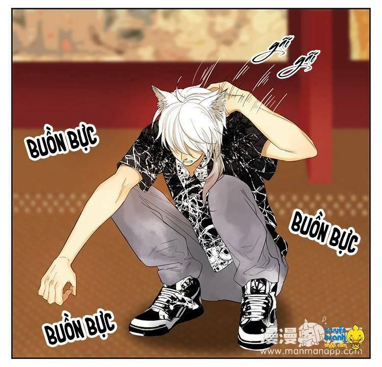Cứu mạng ! Loài mèo thống trị thế giới rồi !: Chapter 20