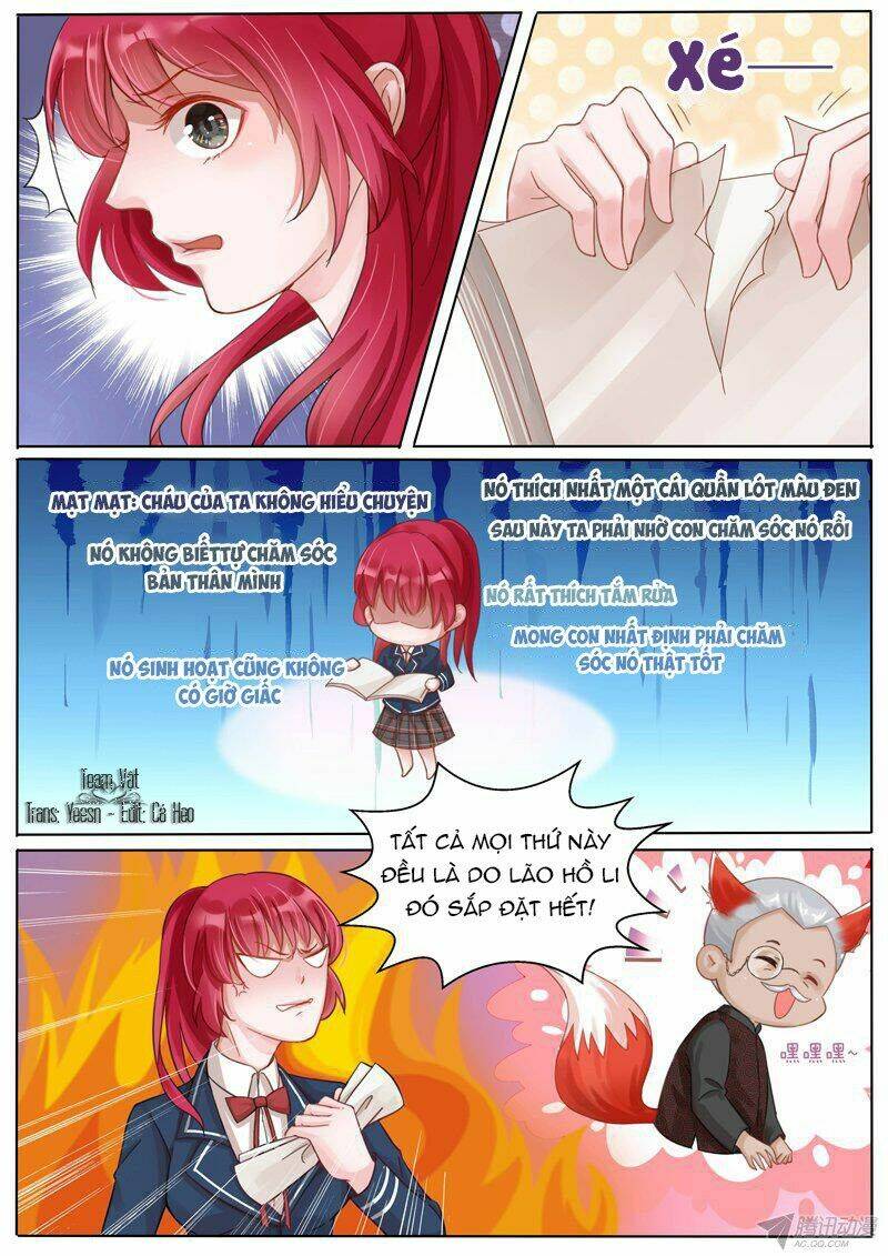 Vương Bài Giáo Thảo: Chapter 5