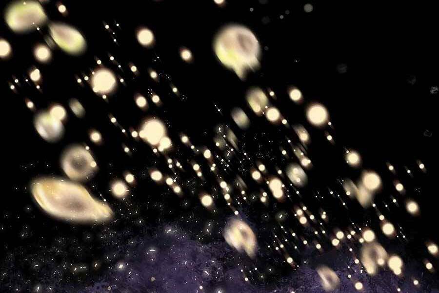 Tên Lỗ Mãng Cấp 10 Của Gia Đình Hiệp Sĩ: Chapter 7