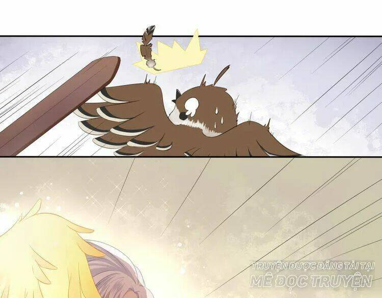 Tước Kiều Tiên: Chapter 2.1