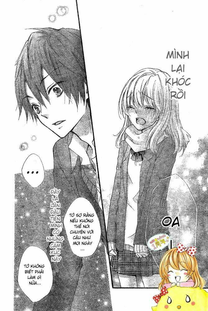 Tình Yêu Của Hiyo: Chapter 8