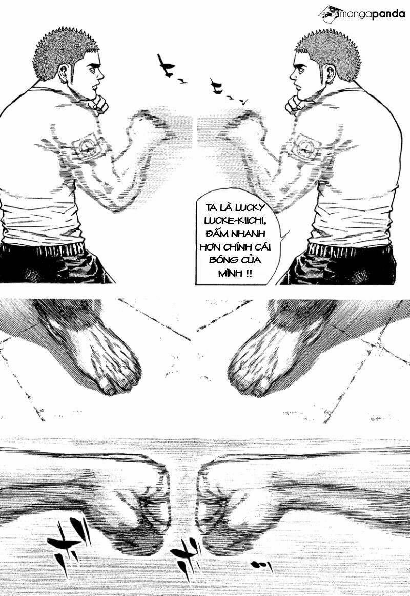 Tough - Miyazawa Kiichi: Chapter 222