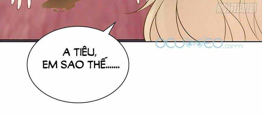 Bộ Váy Rực Rỡ Ánh Sao: Chapter 17