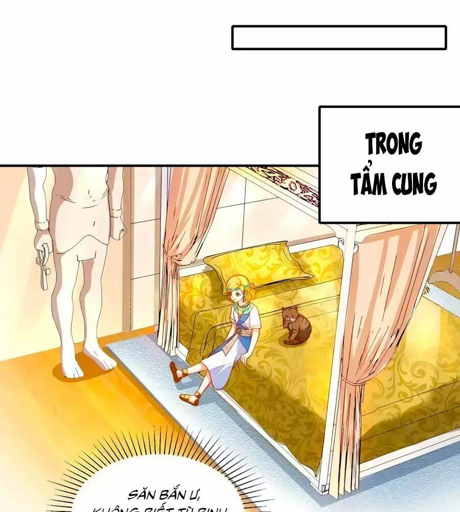Sủng Hậu Của Vương: Chapter 6