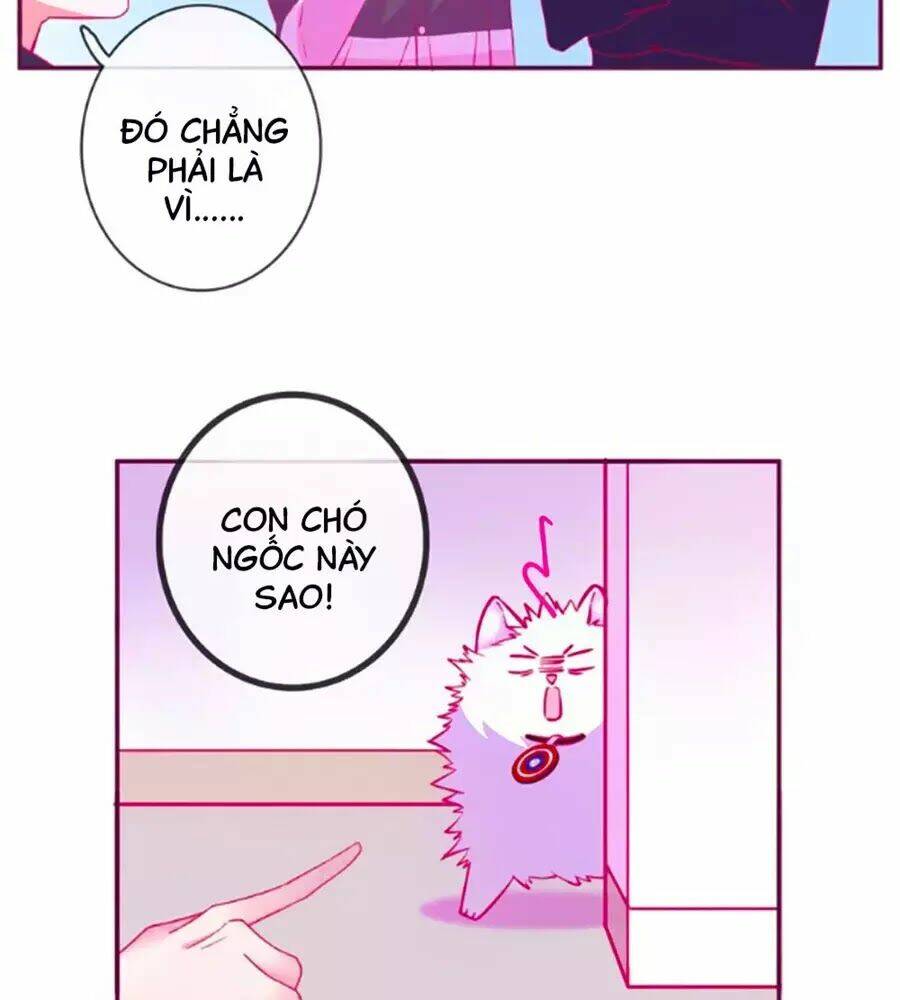 Đừng Nghịch, Ta Chỉ Muốn Yên Tĩnh: Chapter 60