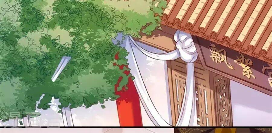 Khuynh Thế Y Phi Muốn Bỏ Chồng: Chapter 122