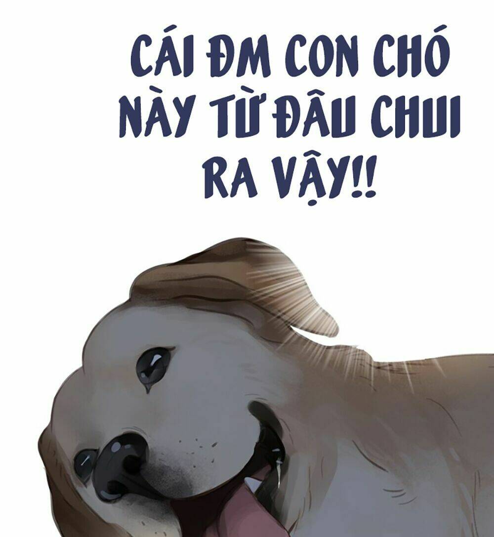 Thiếu Niên Rắc Rối: Chapter 5