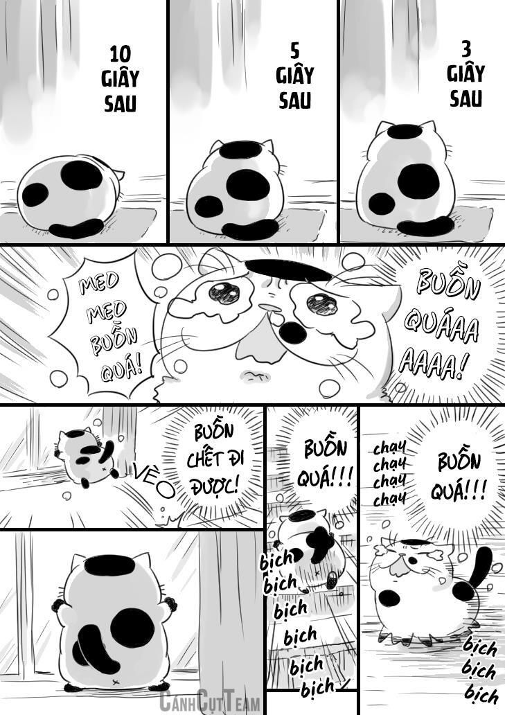 Ông Chú Và Con Mèo Mặt Bựa: Chapter 11.1