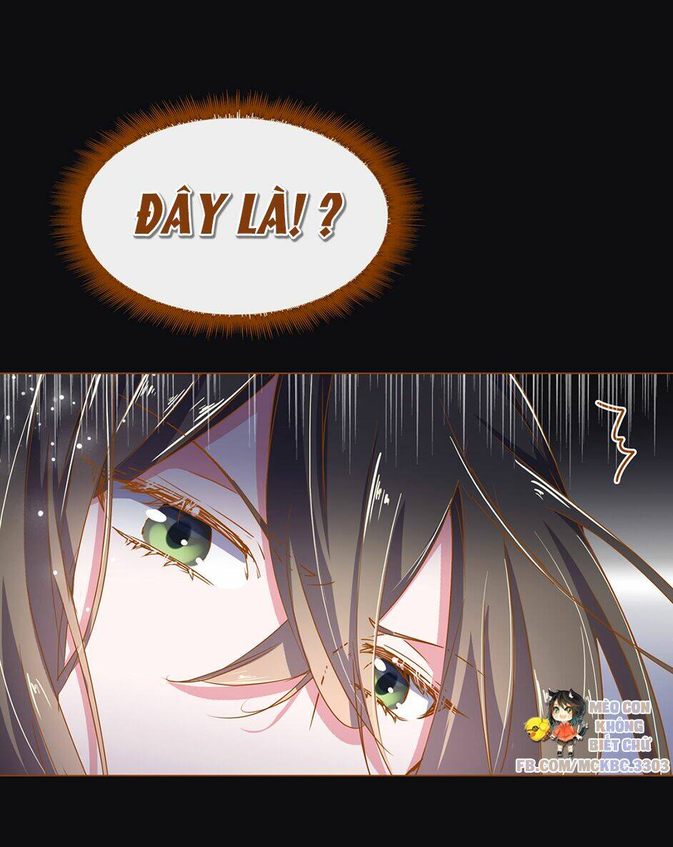 Boss Khủng Bố Chiếm Đoạt Ta: Chapter 5