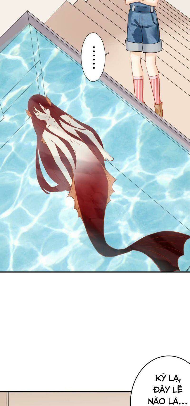 Nhân Ngư Học Trưởng, Đừng Ôm Ta!: Chapter 61