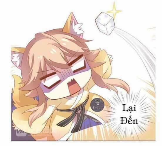 Dưới Móng Vuốt Mèo: Chapter 3