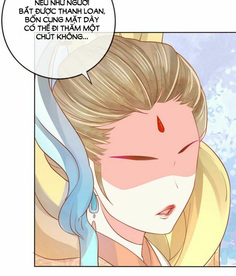 Chọc Nhầm Thượng Thần Băng Lãnh: Chapter 26