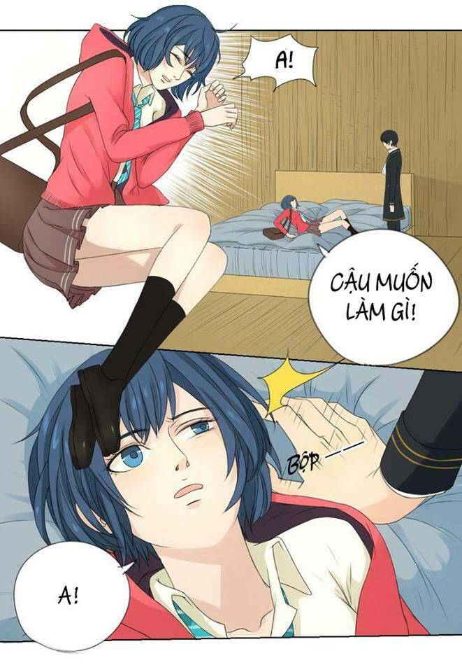 Nụ Hôn Hắc Vũ: Chapter 4