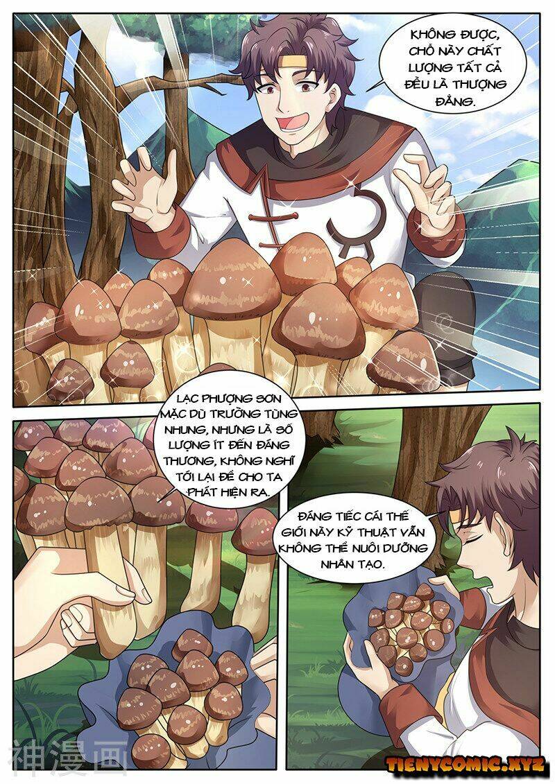 Siêu Cấp Thần Y Hệ Thống: Chapter 73