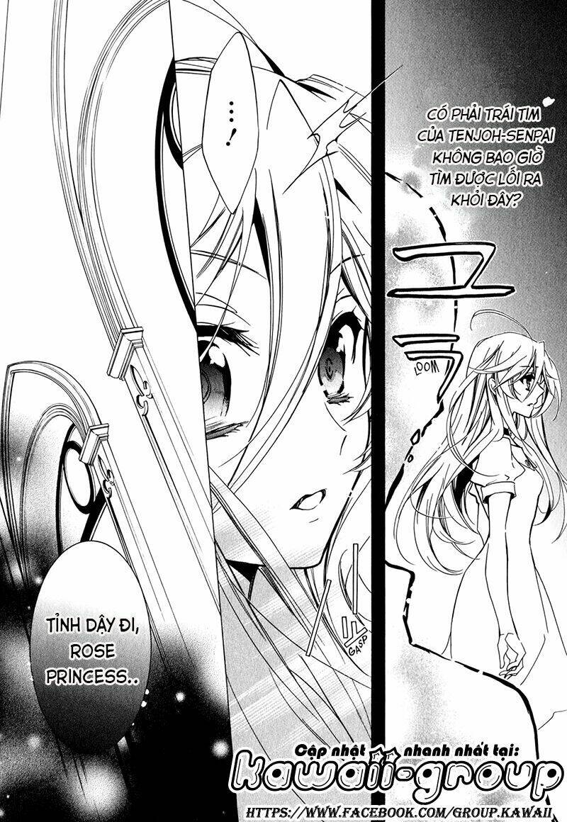 Nụ Hôn Của Công Chúa Tường Vi: Chapter 40