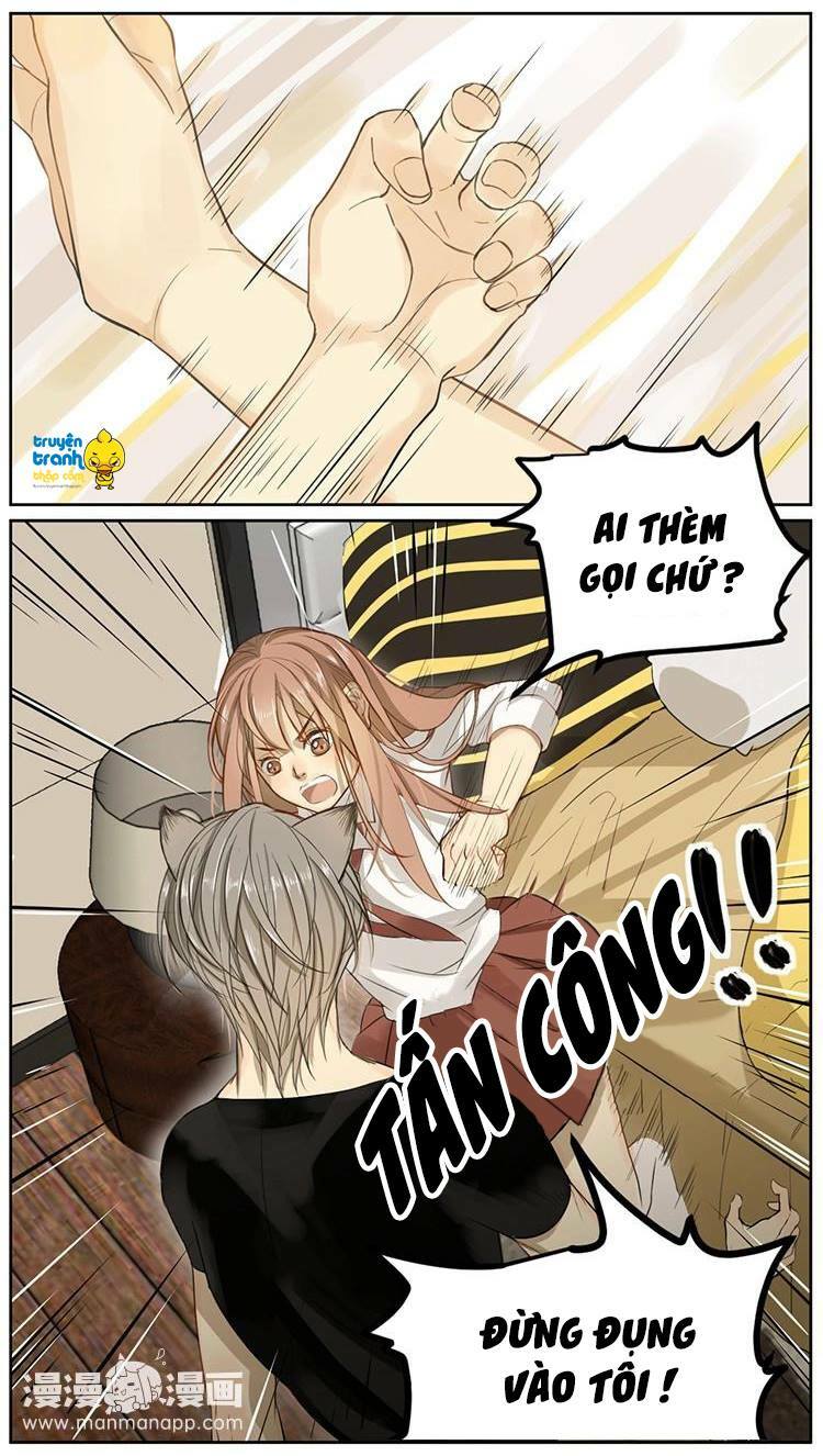 Cứu mạng ! Loài mèo thống trị thế giới rồi !: Chapter 4
