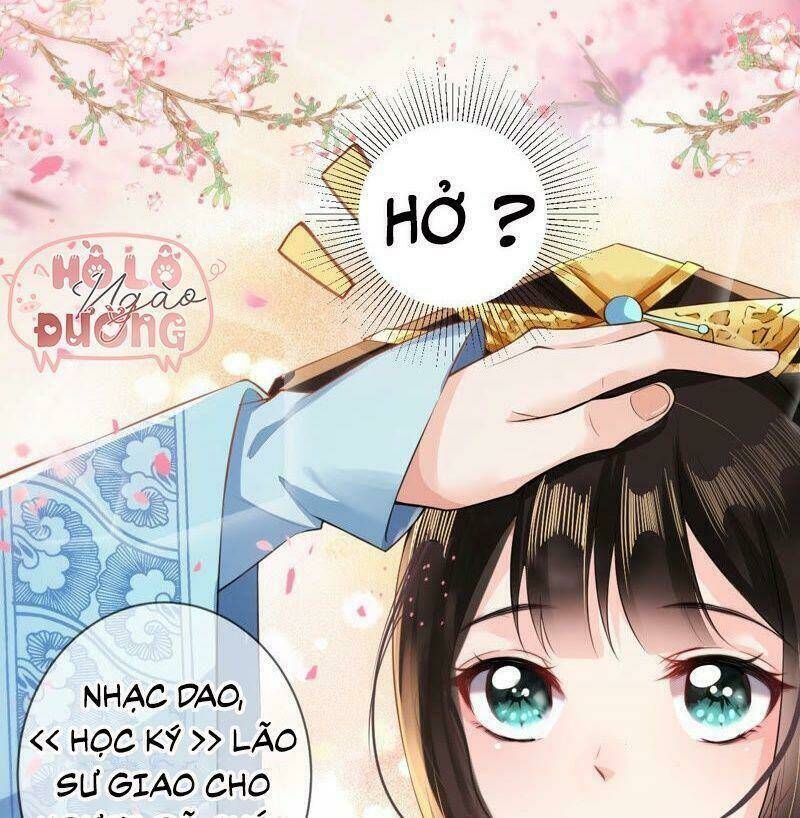 Quận Chúa Vững Vàng, Thiết Lập Nhân Vật Không Thể Vỡ: Chapter 29