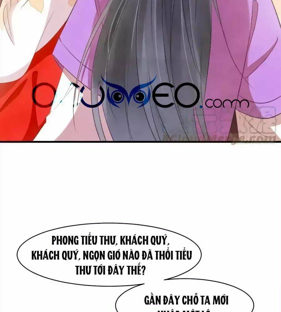 Vương Phi Muốn Trèo Tường: Chapter 41