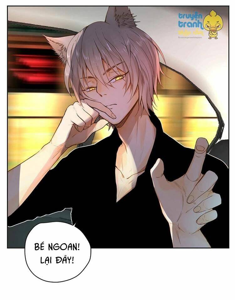 Cứu Mạng! Loài Mèo Thống Trị Thế Giới Rồi!: Chapter 26