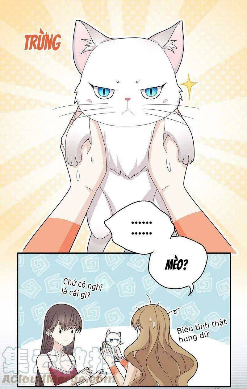 Thiên Kim Bất Lương: Chapter 41