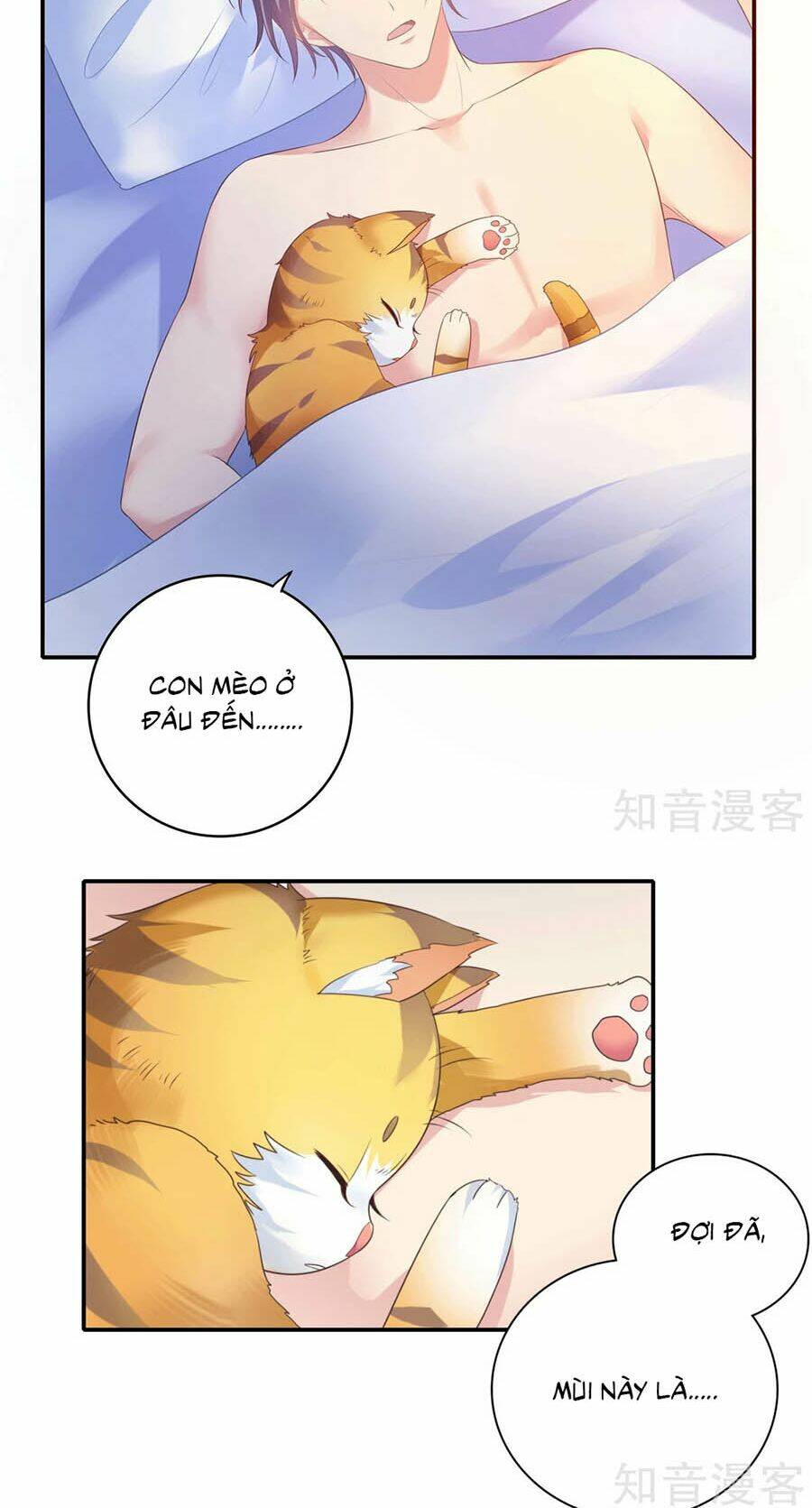 Hẹn Hò Siêu Tốc: Chapter 17