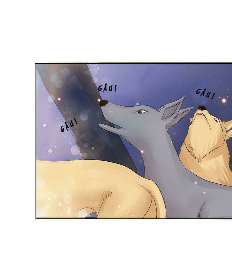 Băng Sơn Học Trưởng Không Được Chọc: Chapter 51.1