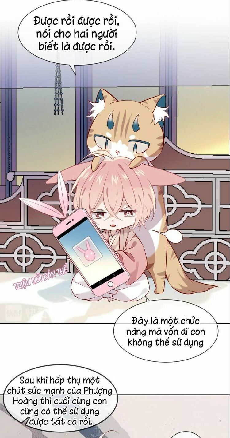 Ngô hoàng tại thượng: Chapter 104
