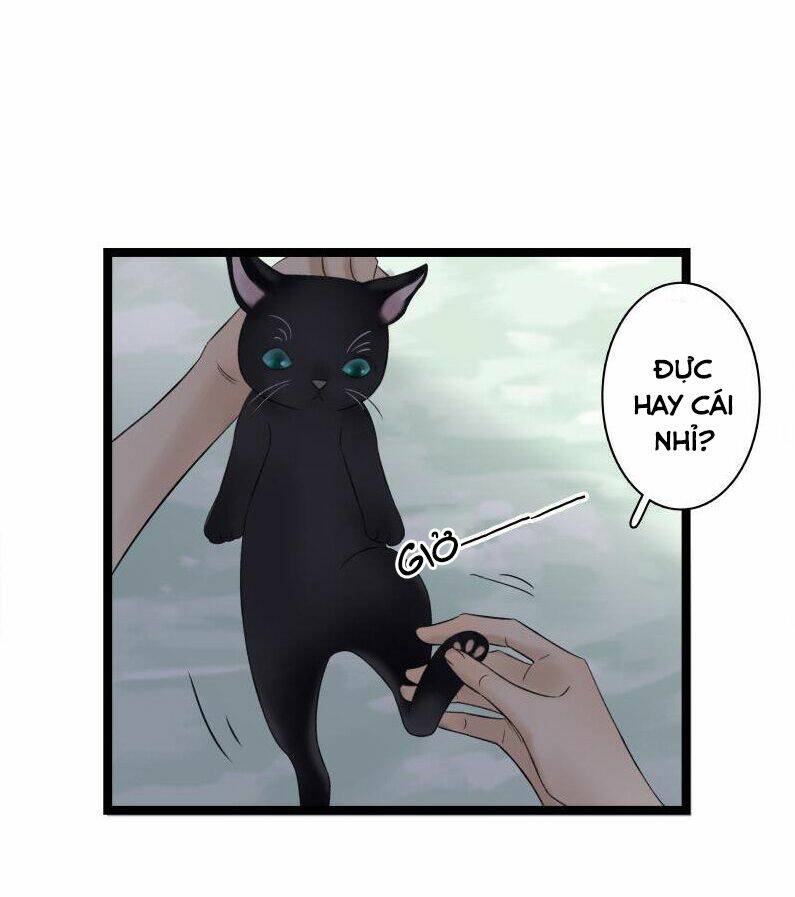 Thái Tử Bị Hoang Tưởng: Chapter 33