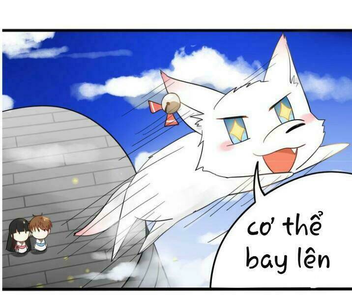 Thú Sủng Của Tôi Bị Mất Trí Rồi: Chapter 1