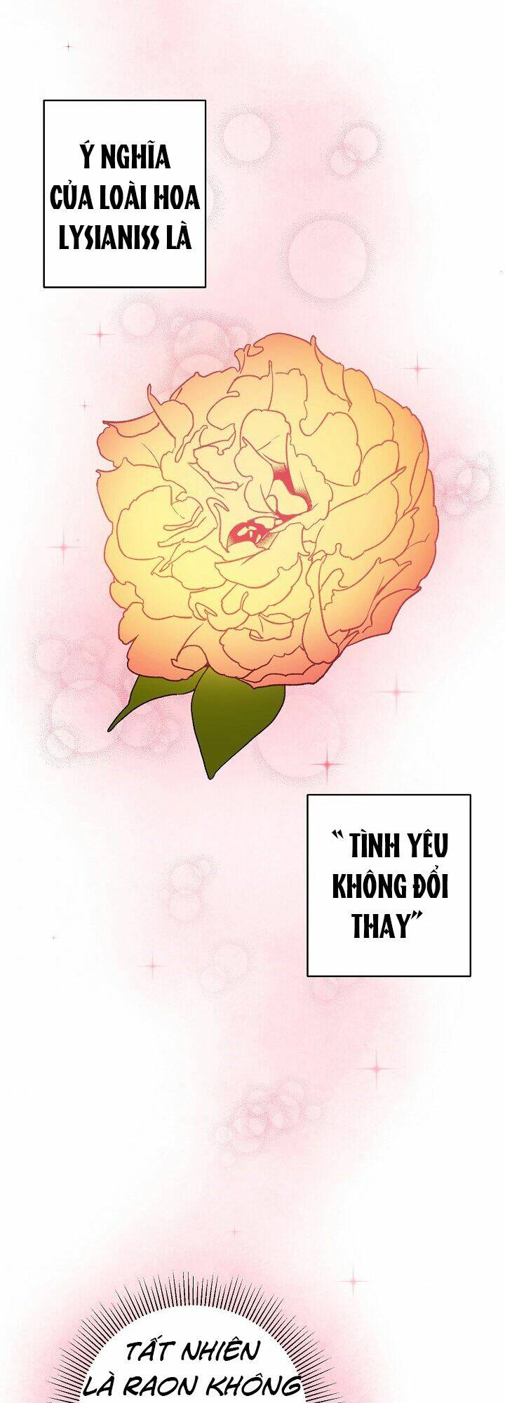 Công Nương Đã Thay Đổi: Chapter 14