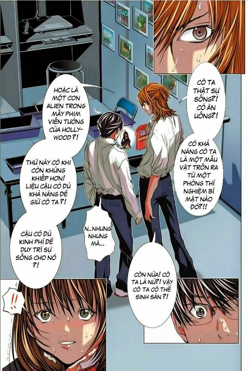 Minimum: Chapter 7