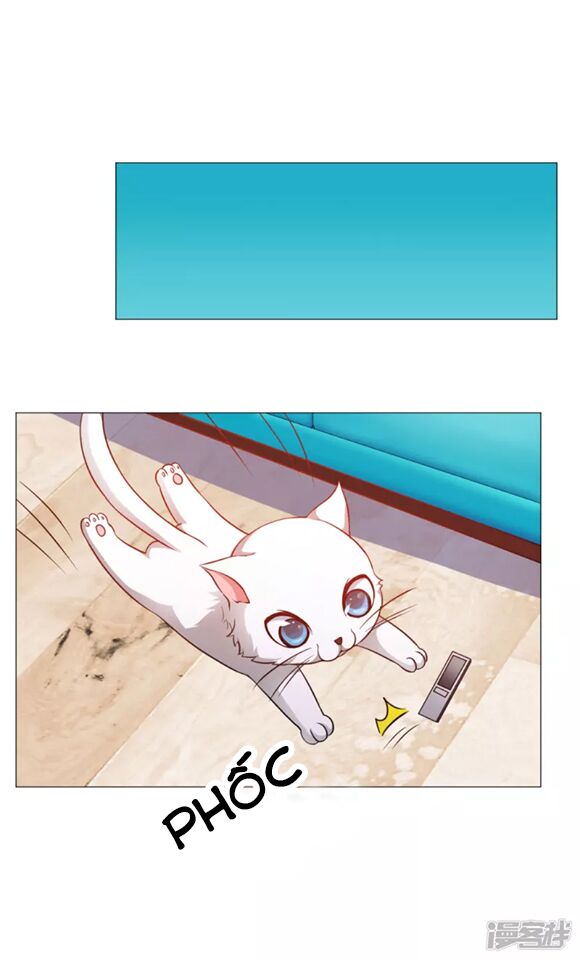 Minh Tinh Là Huyết Tộc: Chapter 21