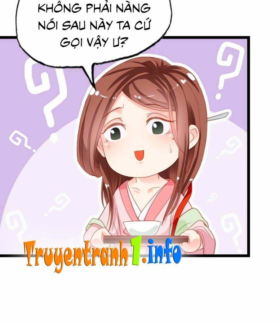 Đứng Lại! Phụng Chỉ Ăn Cướp: Chapter 1