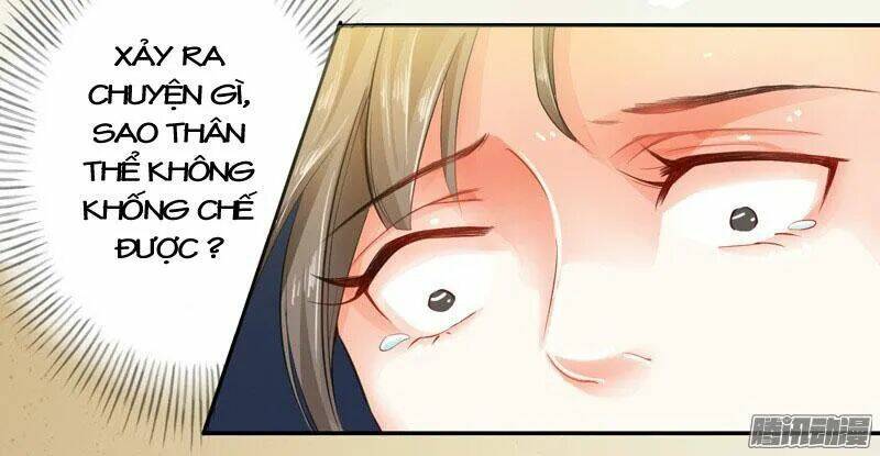 Tuyệt Thế Luyện Đan Sư: Chapter 7