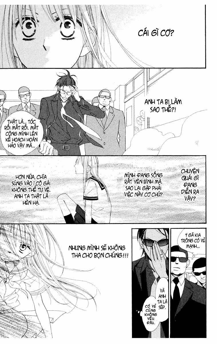 Hoa Trong Bão: Chapter 1