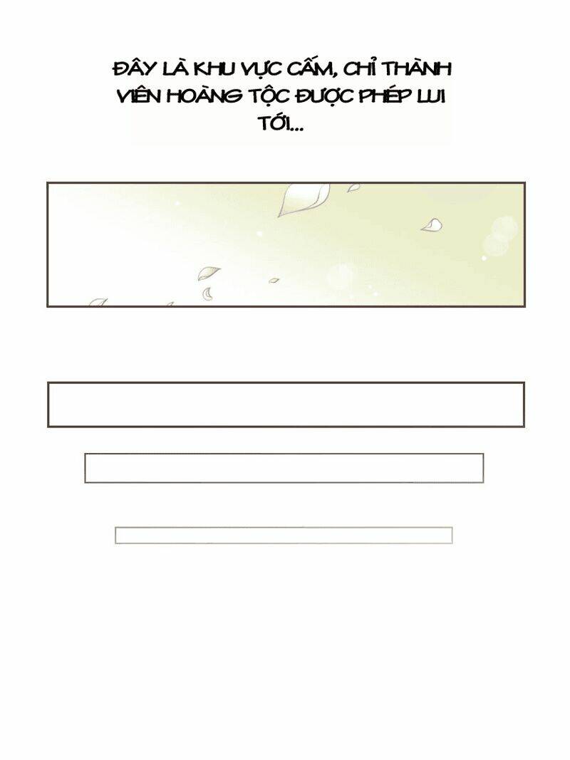 Twelve Nights: Chapter 4