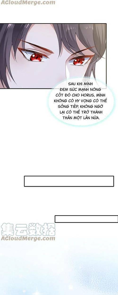Sủng Hậu Của Vương: Chapter 169